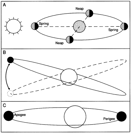 Three sketches showing moon orbiting sun.