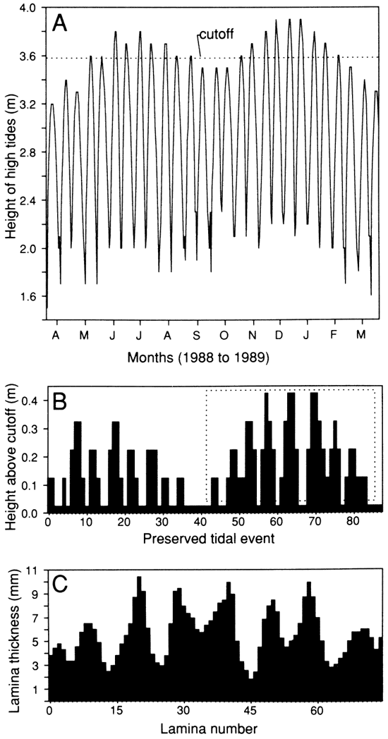 Charts comparing tidal values and lamina thicknesses.