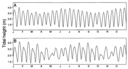 Two sketches showing tidal patterns.