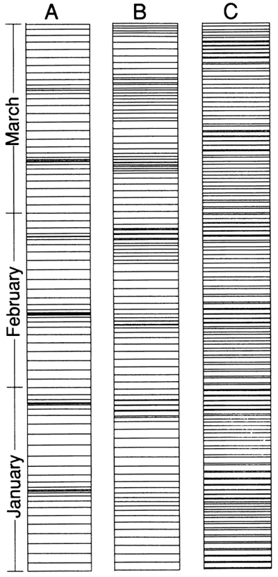 Tidalites generated from modern tidal data.