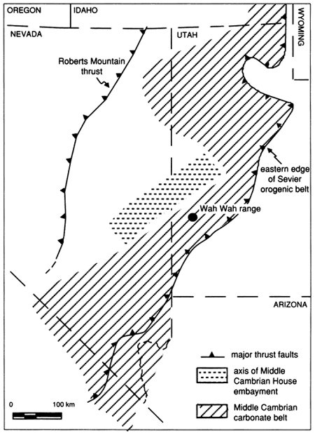 Wah Wah section inbetween Roberts Mountain thrust and Sevier orogenic belts; within Middle Cambrian carbonate belt in SW Utah.