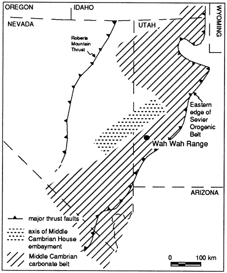 Wah Wah section inbetween Roberts Mountain thrust and Sevier orogenic belts; within Middle Cambrian carbonate belt in SW Utah.