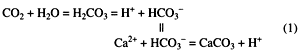 Carbon dioxide and water moves to carbonic acid, moving to free hydrogen and bicarbonate; merged with bocarbnate and free calcium, equal to calcium carboante and free hydrogen.