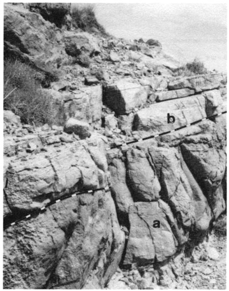 Black and white photo of outcrop; upper unit lighter in color and more horizontally consistent; lower unit is darker and more broken up into large boulders.
