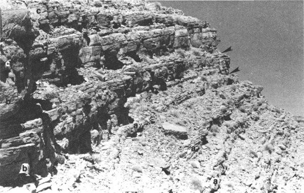 Black and white photo of outcrop; top part looks like large stairsteps, though eroded in places, with steep slope; lower part is more broken up and bedding not as clear, eroded to gentle slope.