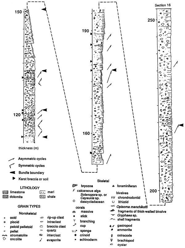 Stratigraphic chart from 110 to 255 meters showing lithology, grain types, and fossils seen.
