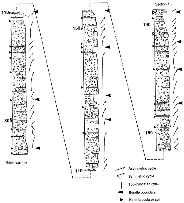 Stratigraphic chart from 70 to 195 meters showing lithology, grain types, and fossils seen.