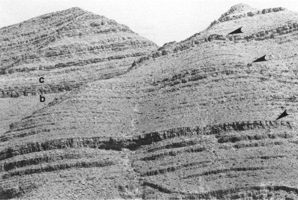 Black and white photo of rocky hillside; resistant beds break up smoothly eroded hillside at times.