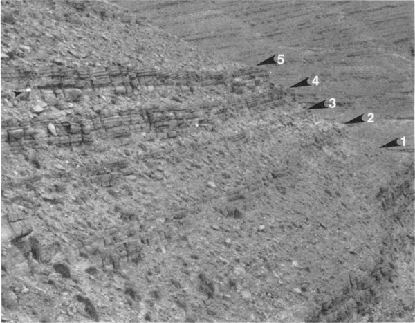 Black and white photo of rocky hillside; four resistant beds labeled, area with no beds seen is also labeled; each bed as thick as a man is high.