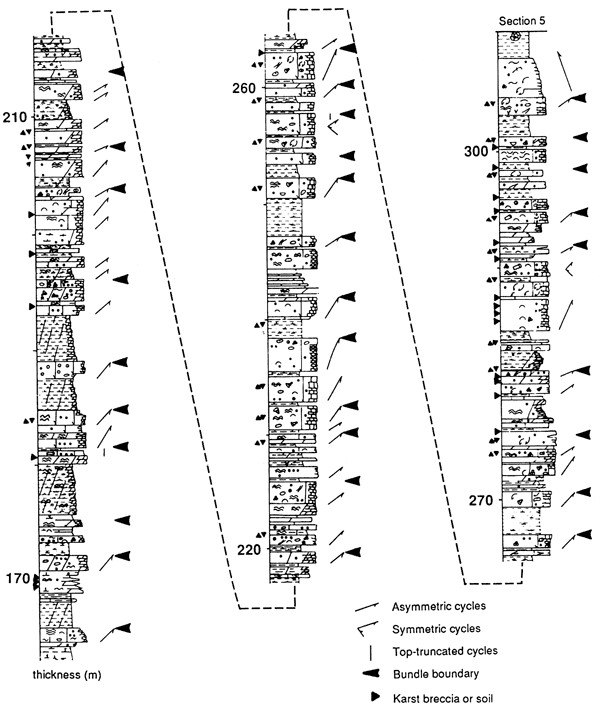 Stratigraphic chart from 165 to 310 meters showing lithology, grain types, and fossils seen.