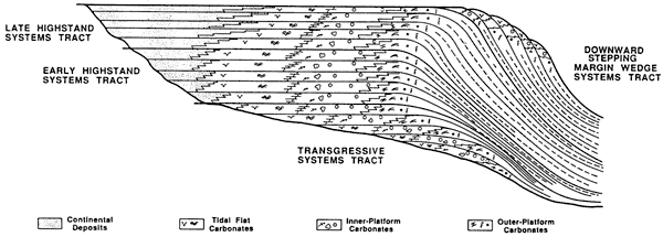 Model shows beds deposited at edge of basin, with continental deposits close to shote, then tidal flat carbonates and inner-platorm carbonates farther out, followed by outer-platform carbonates.