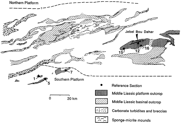 Sections 1, 5, 7, 12, 15, and 16 shown on location map; each is near Middle Liassic platform outcrop.