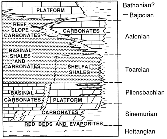 From top, Bathonian?-Bajocian, Aalenian, Toarcian, Pliensbachian, Sinemurian, and Hettangian.