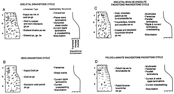 Each cycle illustrated with depositional chart (supratidal, intertidal, or subtidal) and schematic of rock types expected.