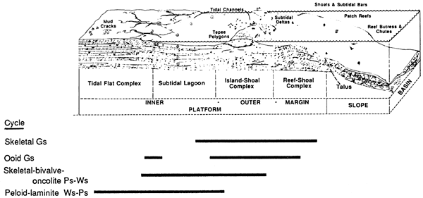 Block diagram showing inner and outer platform, platform margin, slope, and basin, the cycles expectd, and the rock types found.