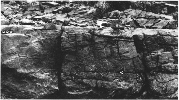 Black and white photo of outcrop; scale bar and hammer for scale; block is about 4 feet thick; horizontal unconformity is clear on photo.