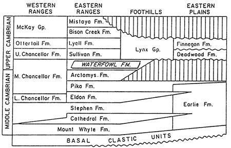 Stratigraphy of Middle and Upper Cambrian.