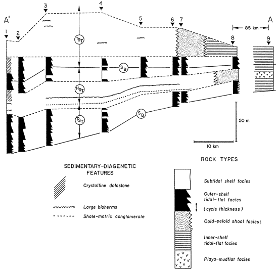 Cross section of facies.