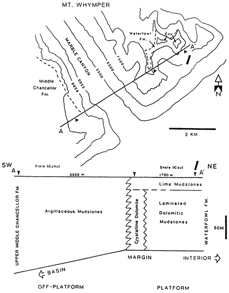 Cross section and index map for Waterfowl Formation platform margin, Mt. Whymper.