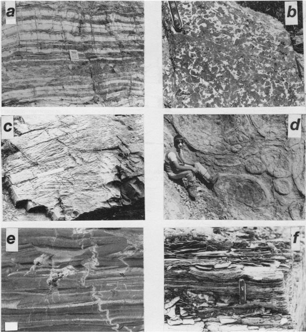 Sixe black and white photos; one is of persone sitting near outcrop, others are of close up views of samples.
