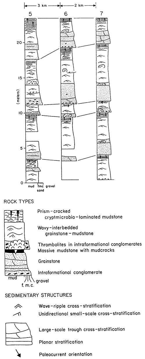 Correlation between three stratigraphic sections.