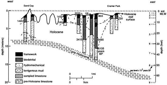 Cross section along reef strike in St. Croix.