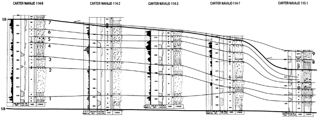 Cross section made of 5 detailed stratigraphic sections.