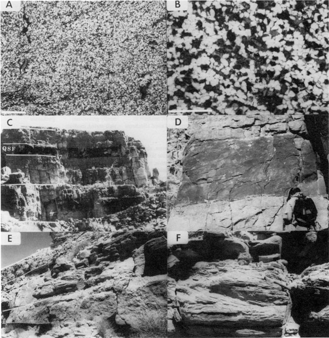 Six black and white photos; four are of outcrops in the field, two are photomicrographs.