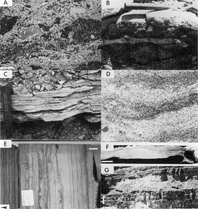 Seven black and white photos; four are of outcrops in the field; three are photomicrographs.