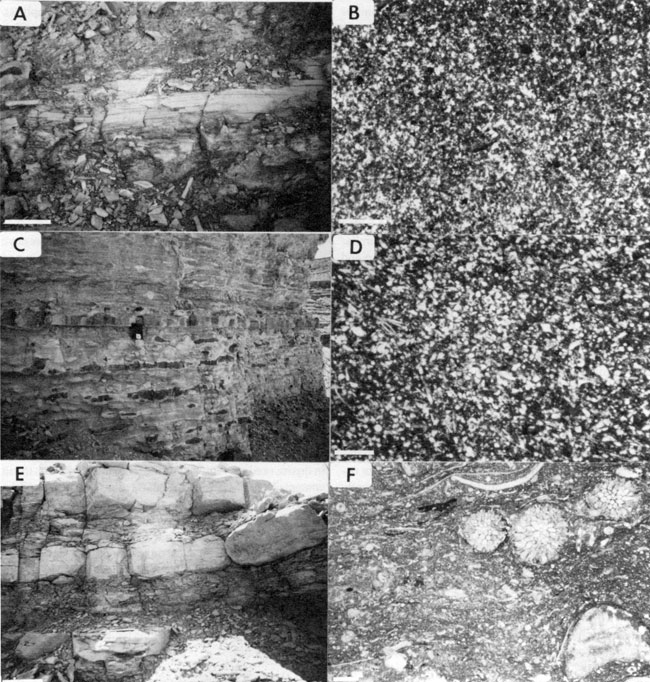 Six black and white photos; three are photomicrographs; three are outcrop photos.