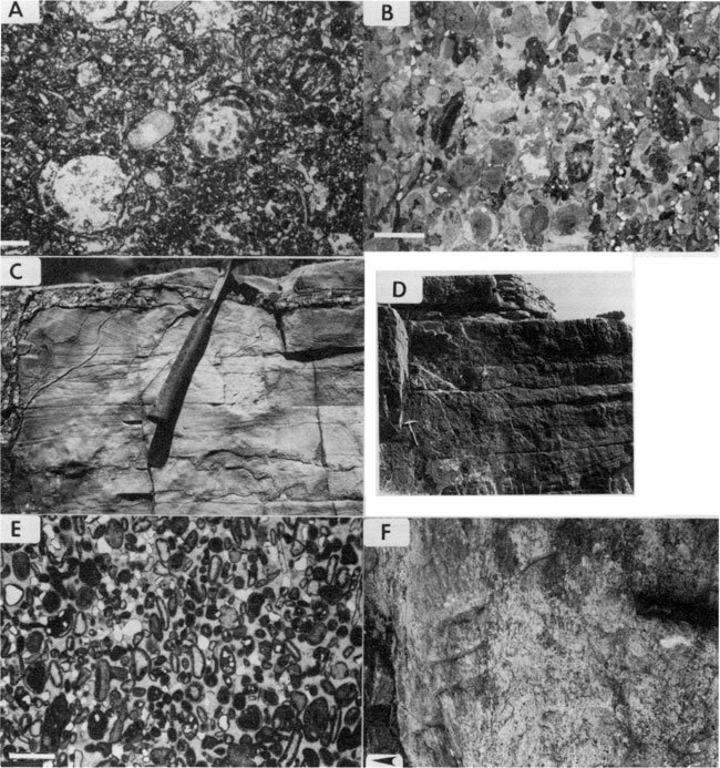 Six black and white photos; three are photomicrographs; three are of outcrops.