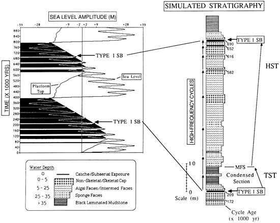 Sea-level amplitude generated simulated stratigraphy.