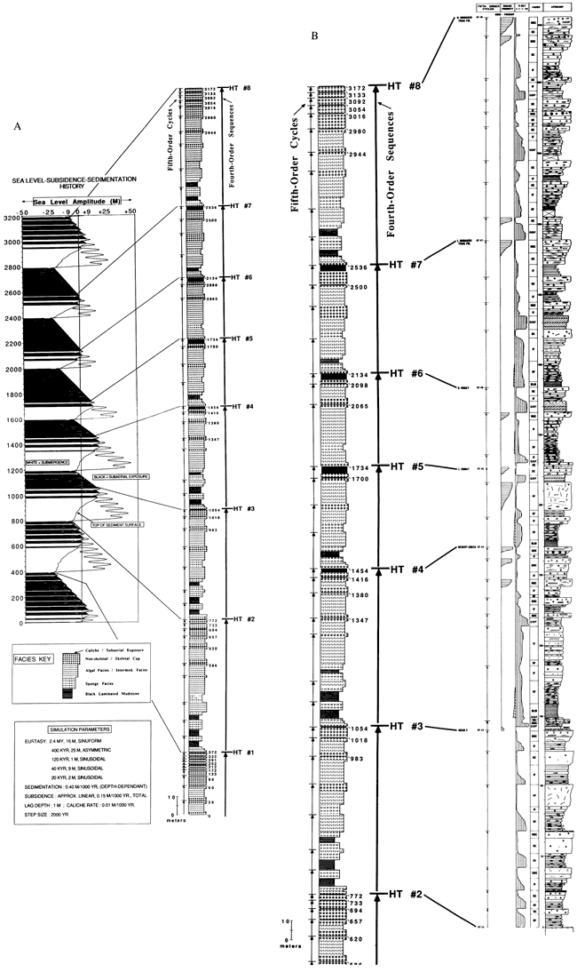 Sea-level history, facies, and stratigraphy for a simulation of the Honaker Trail section.