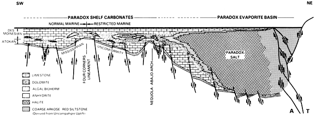 Cross section across Paradox basin.