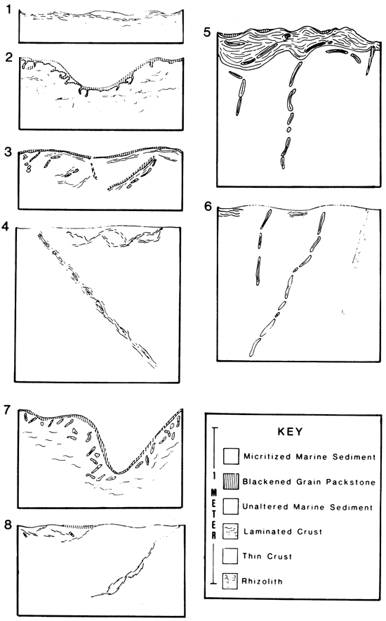 Eight sketches of typical paleosols.