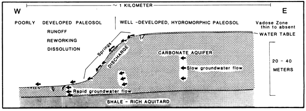 Diagram of paleosol model, with slow ground-water flow in carbonate aquifer overlying shale-rich aquitard.
