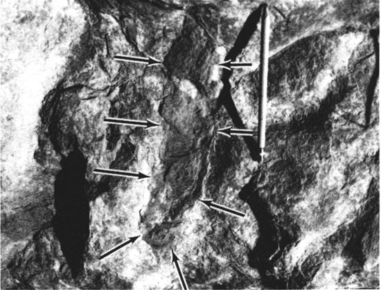 Black and white photo of Holder Formation outcrop.
