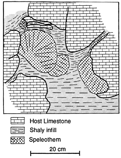 Host limestone surrounding shaly infill, with speleothem in center.