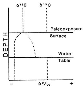 Chart shows chemical changes across paleoexposure surface and water table.