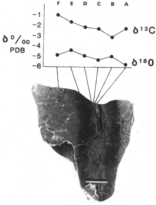 Chemical analyses tied to photo of sample.