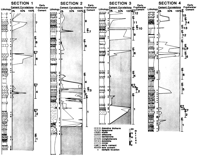 Cross section across Holder Fm.