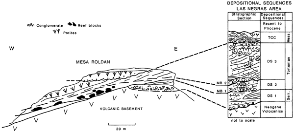 Cross section for Mesa Roldan area.