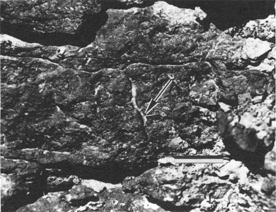 Black and white photo of shale outcrop.