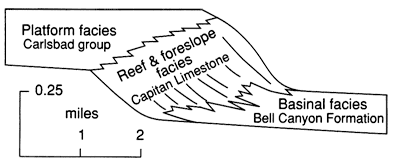 Sketch shows platform facies, reef and foreslope facies, and basinal facies.