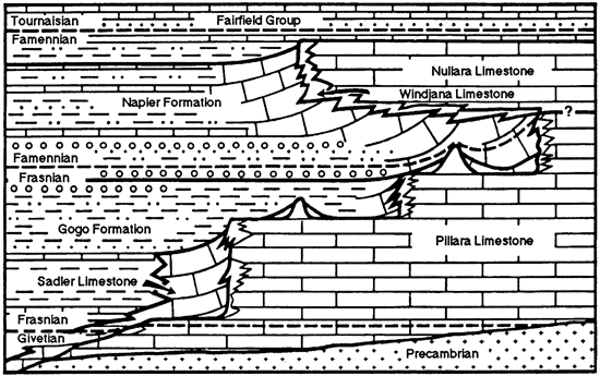 Diagrammatic cross section through the Devonian reef complexes of the Canning basin.