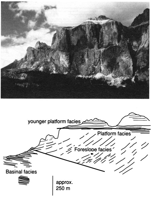 Black and white photo of Sella carbonate buildup and sketch illustrating features.
