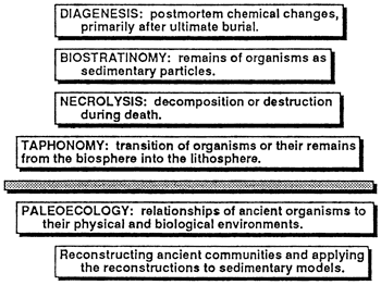 Taphonony made up of necrolysis, biostratinomy, and diagenesis; goal is to reconstruct ancient communities.