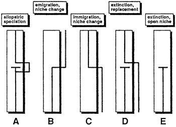 Five models of species replacement.