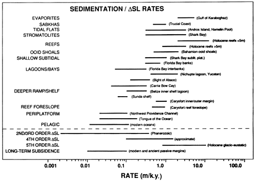 Sedimentation rates for various facies.
