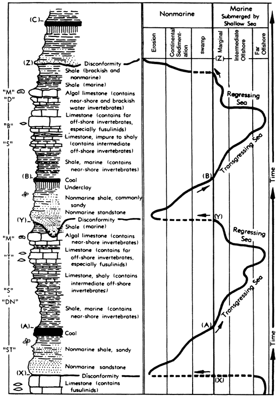 Sample stratigraphic section showing features of rocks and associated environmental marine and nonmarine conditions.